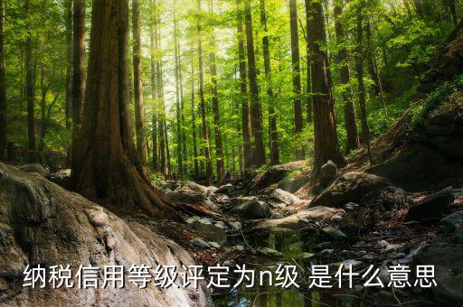 國稅信用級別是什么，納稅信用等級評定為n級 是什么意思