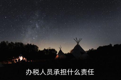 稅務(wù)負責人有什么責任，這樣的稅務(wù)辦事人員有責任嗎