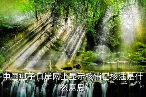 為什么核銷報驗，中國電子口岸網(wǎng)上顯示核銷已核注是什么意思