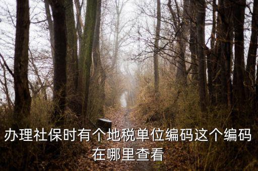 稅務(wù)局編號在什么位置，安康稅務(wù)機(jī)關(guān)地區(qū)編號在哪里
