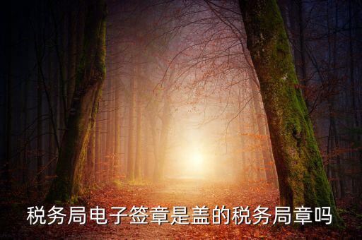 稅務(wù)局電子簽章是什么，在國稅系統(tǒng)電子簽章時(shí)為什么不是每次都提示輸入口令