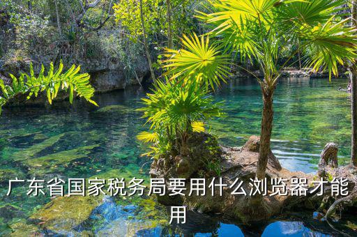 報稅要什么瀏覽器，山東國稅網(wǎng)上申報系統(tǒng)需要什么瀏覽器