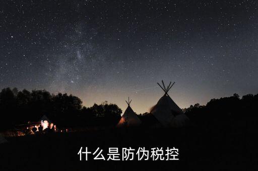 防偽稅控盤什么，什么是防偽稅控