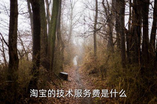 技術(shù)咨詢服務(wù)費(fèi)指什么，醫(yī)藥行業(yè)技術(shù)服務(wù)費(fèi)包含什么內(nèi)容