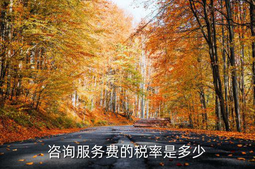 咨詢服務(wù)交什么稅，公司收到一筆咨詢費應(yīng)該如何納稅稅率是多少急謝謝