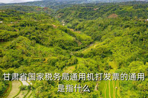 山西省稅務(wù)局六最是指什么，甘肅省國家稅務(wù)局通用機(jī)打發(fā)票的通用是指什么