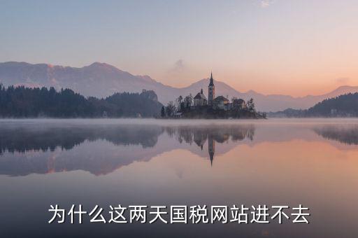 為什么濟(jì)南國稅網(wǎng)站進(jìn)不去，為什么這兩天國稅網(wǎng)站進(jìn)不去