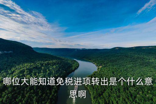 進(jìn)項(xiàng)轉(zhuǎn)出是什么意思，哪位大能知道免稅進(jìn)項(xiàng)轉(zhuǎn)出是個(gè)什么意思啊
