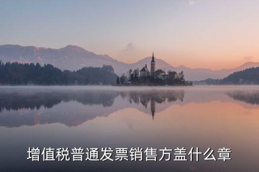 發(fā)票稅務(wù)章什么樣的，增值稅普通發(fā)票銷售方蓋什么章