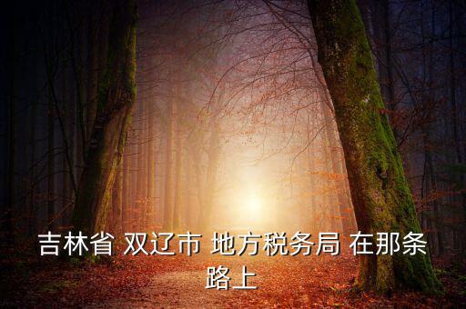 吉林市地稅局在什么位置，吉林市地方稅務(wù)局第二直屬稅務(wù)局在哪個區(qū)