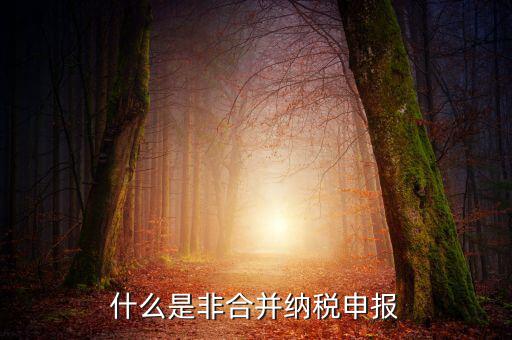 什么是非匯總納稅企業(yè)，什么是跨區(qū)經(jīng)營匯總納稅企業(yè)