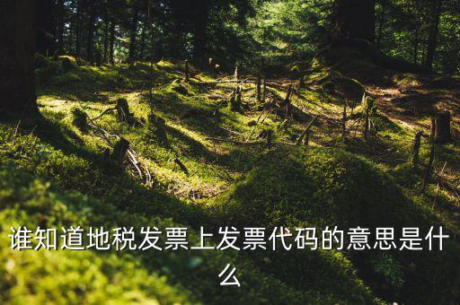 河北地稅發(fā)票的查詢碼是什么意思，如何查詢地稅發(fā)票開票點注冊碼是什么