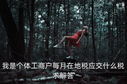 個(gè)體戶地稅局交什么稅，個(gè)體經(jīng)營(yíng)戶地稅是按什么標(biāo)準(zhǔn)收費(fèi)的