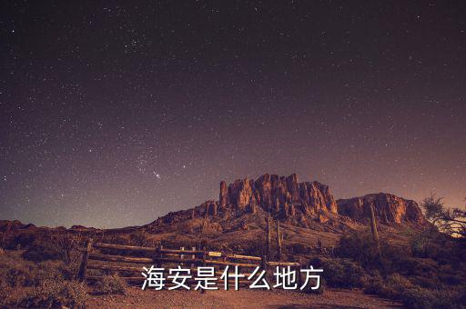 海安國(guó)稅局在什么地方，海安是什么地方