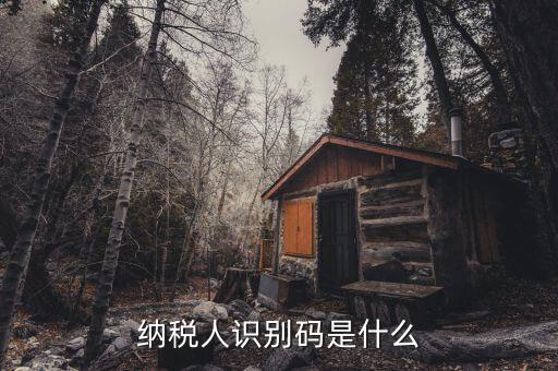 稅務(wù)識別碼有什么用，納稅人識別碼是什么