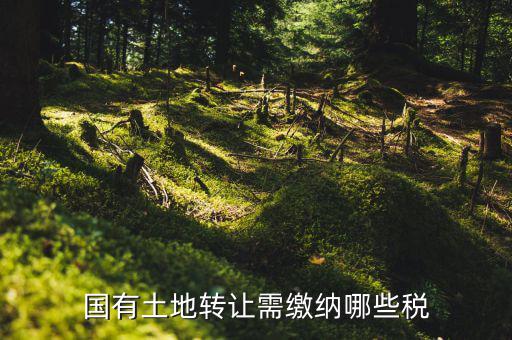 國有土地轉讓需繳納哪些稅