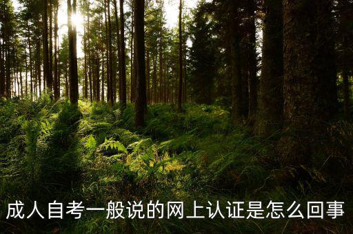 成人自考一般說的網(wǎng)上認證是怎么回事