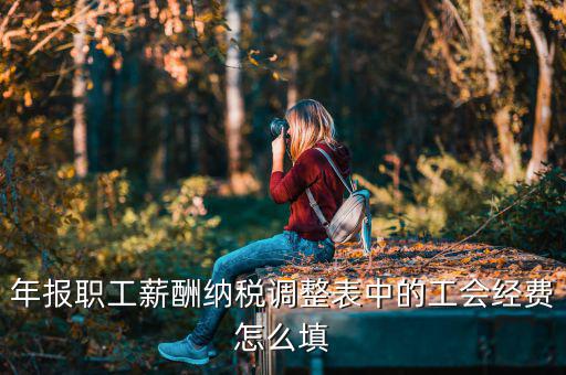工會經(jīng)費(fèi)減除項填什么，網(wǎng)上報稅時又多了一項工會經(jīng)費(fèi)怎樣填寫計算