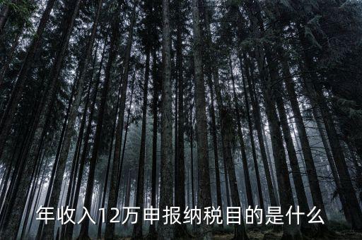 為什么12萬(wàn)要報(bào)稅，年收入12萬(wàn)個(gè)稅申報(bào)為什么要申報(bào)