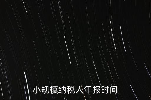 納稅申報年報什么時候，小規(guī)模納稅人年報時間