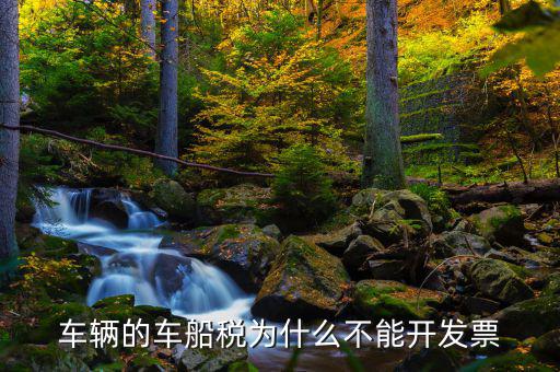為什么車船稅沒有發(fā)票，車輛的車船稅為什么不能開發(fā)票