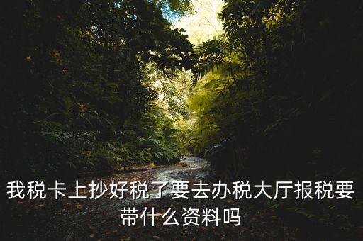 報(bào)稅廳抄報(bào)需要帶什么資料，抄稅需要帶些什么資料