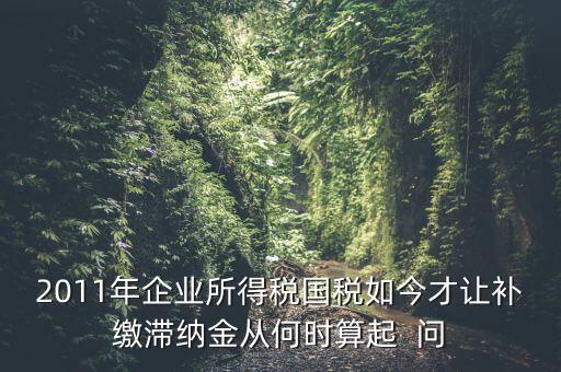 納稅滯納金什么時(shí)候算，企業(yè)所得稅滯納金計(jì)算從何時(shí)開始計(jì)算