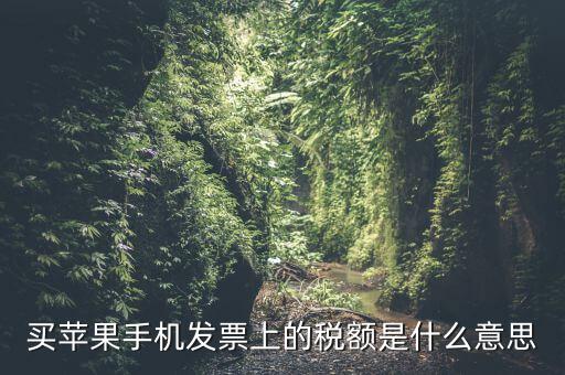 發(fā)票上的稅額是什么意思，買蘋果手機(jī)發(fā)票上的稅額是什么意思