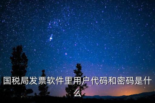 登錄稅務(wù)開票密碼是什么，國(guó)稅第一次網(wǎng)上申報(bào)的登陸密碼是什么