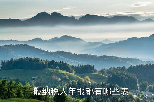 國(guó)稅年報(bào)是什么表，年報(bào)是指哪些報(bào)表是112月的嗎