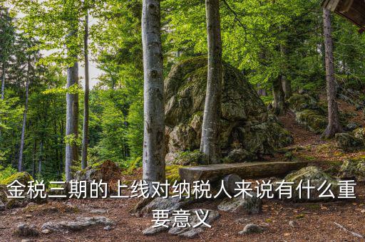 金三稅系統(tǒng)什么時間上線的，2016年金稅三期上線那金稅三期到底是啥呢