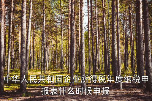 國稅企業(yè)所得稅什么時候申報，企業(yè)所得稅申報時間