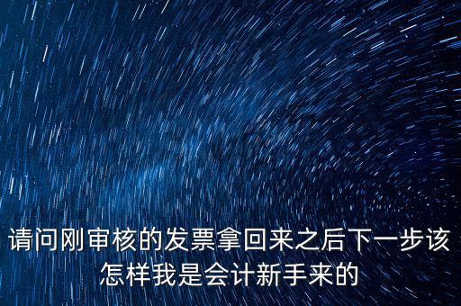 請問剛審核的發(fā)票拿回來之后下一步該怎樣我是會(huì)計(jì)新手來的