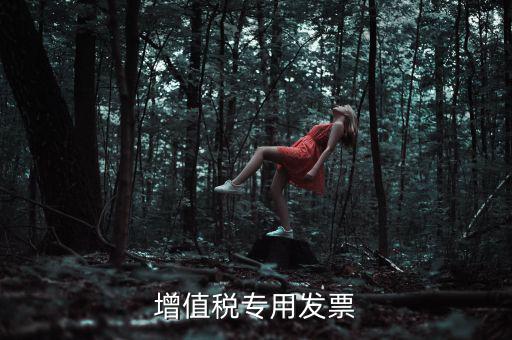 什么是增值稅專業(yè)發(fā)票，什么是增值稅發(fā)票