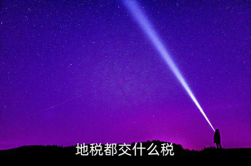 地稅要交什么稅，地稅應(yīng)交哪些稅
