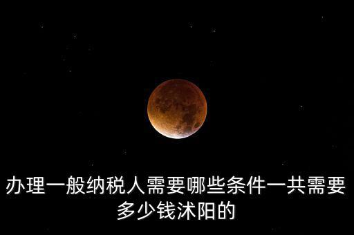 納稅人需求是什么，申請一般納稅人有什么要求嗎需滿足哪些條件華廈投資可以代為申