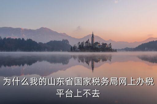 為什么登陸不了網(wǎng)上辦稅廳，為什么我的山東省國家稅務(wù)局網(wǎng)上辦稅平臺(tái)上不去