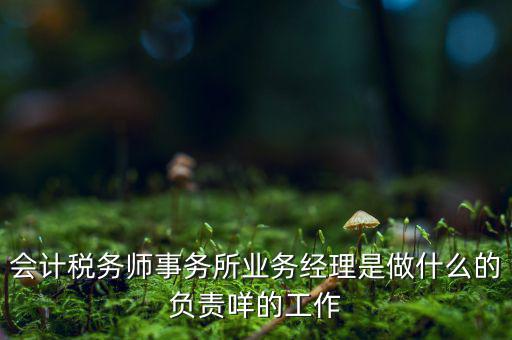 稅務(wù)師事務(wù)所做什么的，稅務(wù)所是干什么的