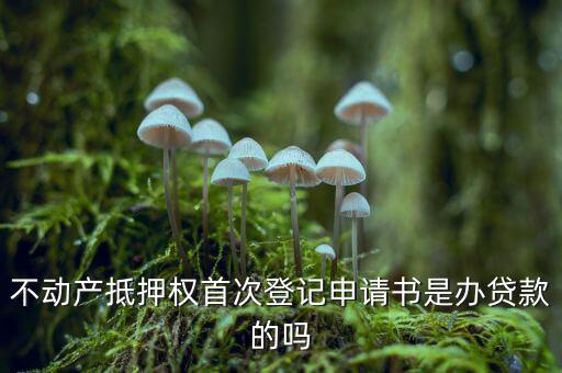 不動產(chǎn)抵押權首次登記申請書是辦貸款的嗎