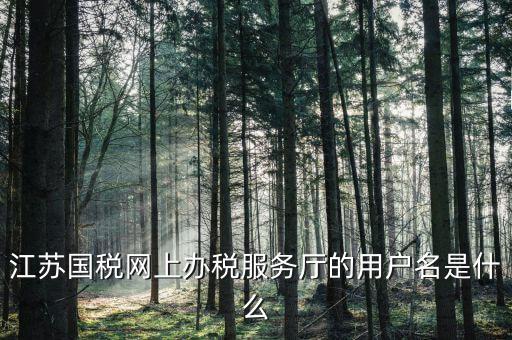 南京國(guó)稅局登陸名是什么，江蘇國(guó)稅網(wǎng)上辦稅服務(wù)廳的用戶名是什么