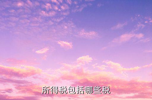 企業(yè)所得稅包含什么，公司所得稅包含有哪兩個