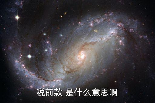 稅前金額是什么意思，稅前款 是什么意思啊