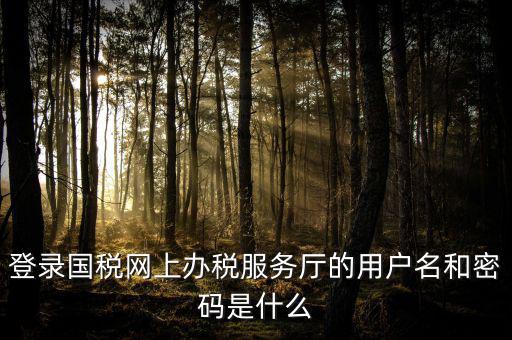 國稅網(wǎng)上登錄密碼是什么意思，國稅第一次網(wǎng)上申報(bào)的登陸密碼是什么