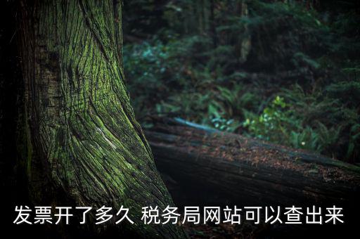 稅局一般什么時(shí)候查發(fā)票，增值稅發(fā)票開(kāi)多久能在國(guó)家稅務(wù)局查到