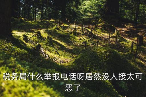 什么叫稅務(wù)舉報(bào)，稅務(wù)局什么舉報(bào)電話呀居然沒人接太可惡了