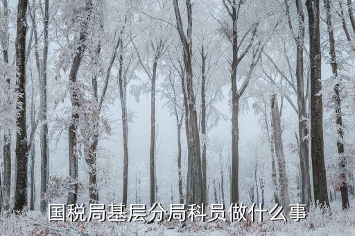國稅局基建科做什么，是不是很多單位都有基建處基建處都干點(diǎn)什么