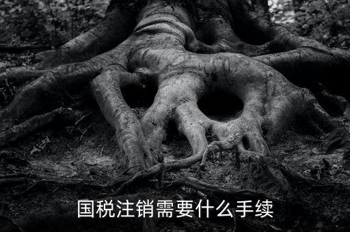 國(guó)稅局注銷(xiāo)要什么手續(xù)，國(guó)稅注銷(xiāo)需要什么手續(xù)