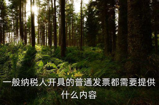 申請普票都需要什么，一般納稅人申請普通發(fā)票所帶的資料