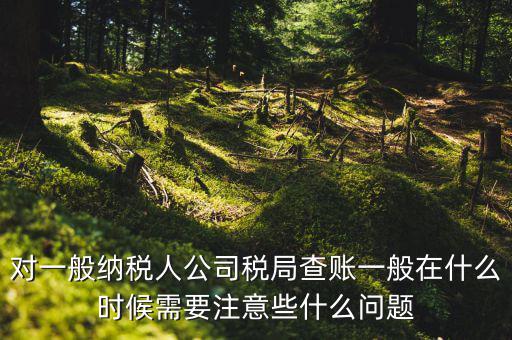 一般地稅稽查會在什么時候，稅務局什么時候會查賬不申報有哪些后果