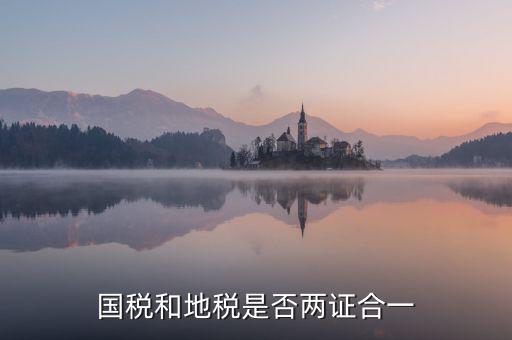 國(guó)稅的兩證合一是什么意思，國(guó)稅和地稅是否兩證合一